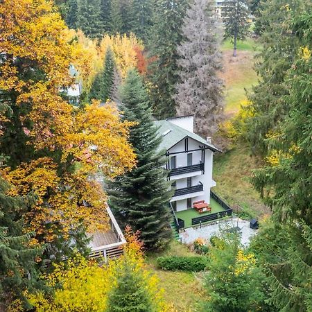 Family Treez Premium Apartments Пояна-Брашов Экстерьер фото